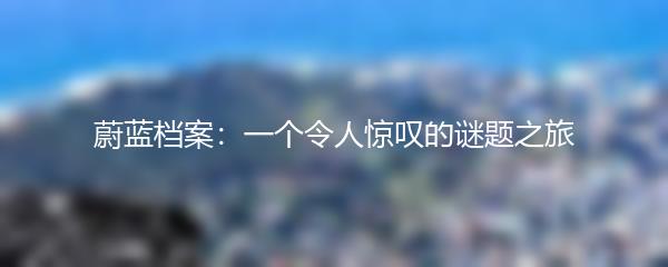 蔚蓝档案：一个令人惊叹的谜题之旅