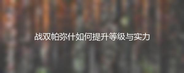 战双帕弥什如何提升等级与实力