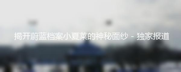  揭开蔚蓝档案小夏莱的神秘面纱 - 独家报道