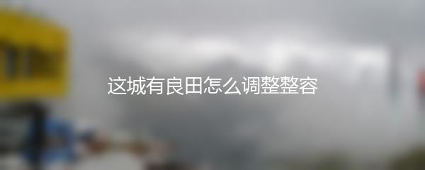 这城有良田怎么调整整容