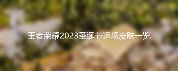 王者荣耀2023圣诞节返场皮肤一览