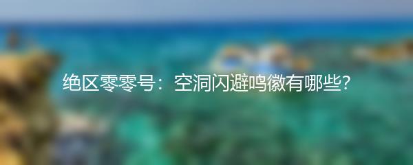 绝区零零号：空洞闪避鸣徽有哪些？