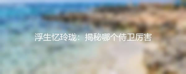 浮生忆玲珑：揭秘哪个侍卫厉害