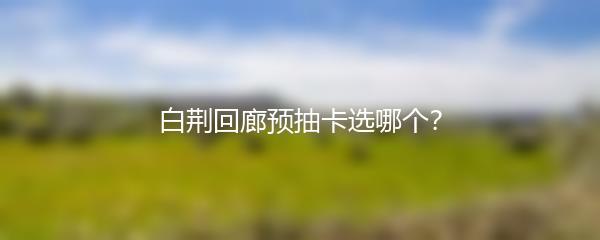 白荆回廊预抽卡选哪个？