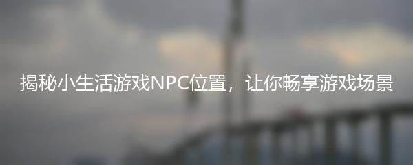 揭秘小生活游戏NPC位置，让你畅享游戏场景