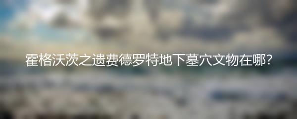 霍格沃茨之遗费德罗特地下墓穴文物在哪？