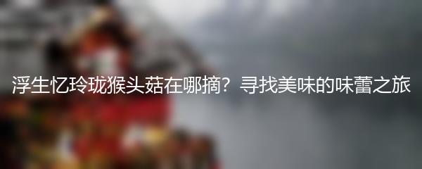 浮生忆玲珑猴头菇在哪摘？寻找美味的味蕾之旅