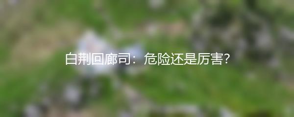 白荆回廊司：危险还是厉害？