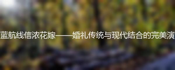 碧蓝航线信浓花嫁——婚礼传统与现代结合的完美演绎