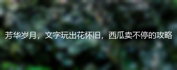 芳华岁月，文字玩出花怀旧，西瓜卖不停的攻略