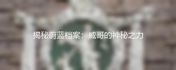 揭秘蔚蓝档案：威哥的神秘之力