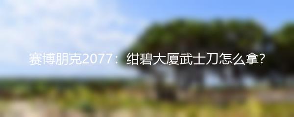 赛博朋克2077：绀碧大厦武士刀怎么拿？