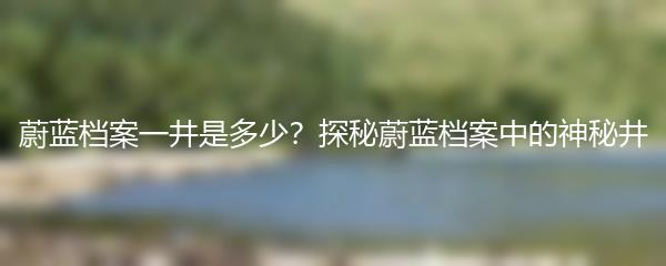 蔚蓝档案一井是多少？探秘蔚蓝档案中的神秘井