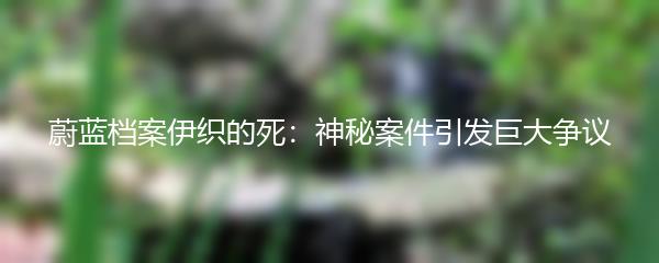 蔚蓝档案伊织的死：神秘案件引发巨大争议