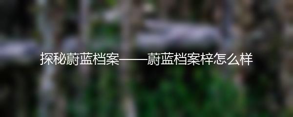 探秘蔚蓝档案——蔚蓝档案梓怎么样