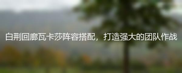 白荆回廊瓦卡莎阵容搭配，打造强大的团队作战