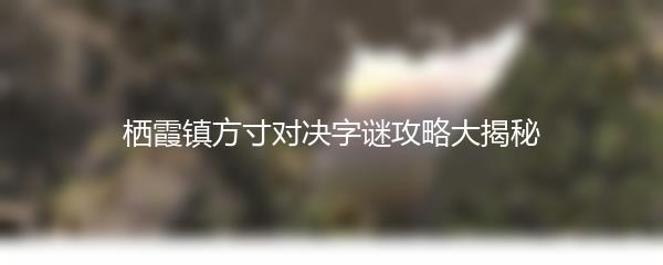 栖霞镇方寸对决字谜攻略大揭秘