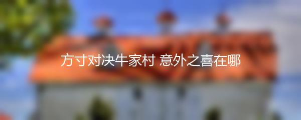 方寸对决牛家村 意外之喜在哪