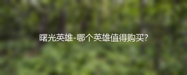 曙光英雄-哪个英雄值得购买？