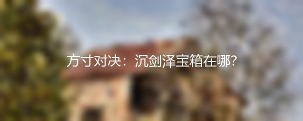 方寸对决：沉剑泽宝箱在哪？