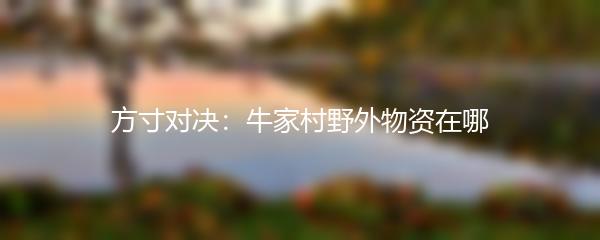 方寸对决：牛家村野外物资在哪