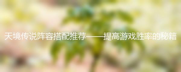 天境传说阵容搭配推荐——提高游戏胜率的秘籍