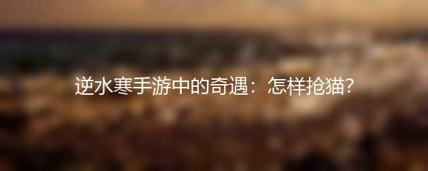 逆水寒手游中的奇遇：怎样抢猫？
