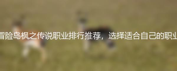 冒险岛枫之传说职业排行推荐，选择适合自己的职业