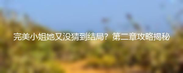 完美小姐她又没猜到结局？第二章攻略揭秘