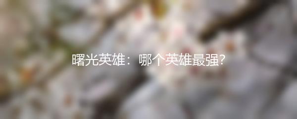 曙光英雄：哪个英雄最强？
