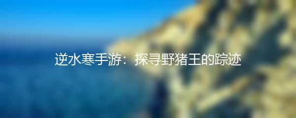 逆水寒手游：探寻野猪王的踪迹