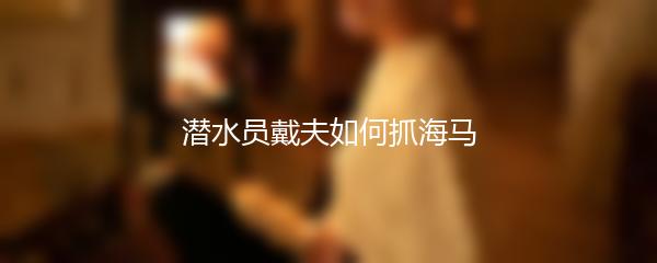 潜水员戴夫如何抓海马