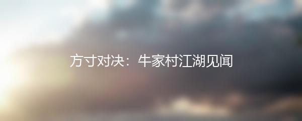 方寸对决：牛家村江湖见闻