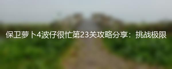 保卫萝卜4波仔很忙第23关攻略分享：挑战极限