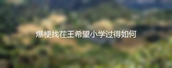 爆梗找茬王希望小学过得如何
