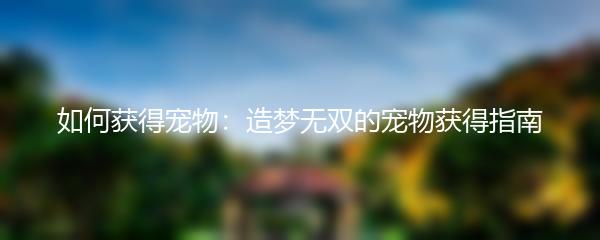 如何获得宠物：造梦无双的宠物获得指南