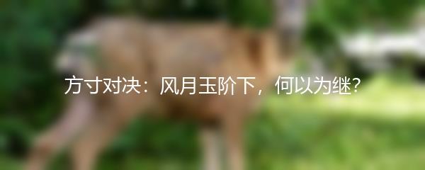 方寸对决：风月玉阶下，何以为继？