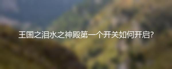 王国之泪水之神殿第一个开关如何开启？