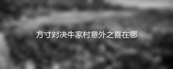 方寸对决牛家村意外之喜在哪