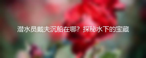 潜水员戴夫沉船在哪？探秘水下的宝藏