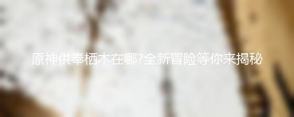 原神供奉栖木在哪?全新冒险等你来揭秘