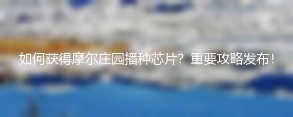 如何获得摩尔庄园播种芯片？重要攻略发布！