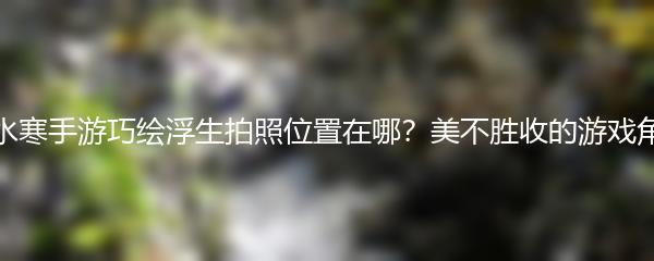 逆水寒手游巧绘浮生拍照位置在哪？美不胜收的游戏角落