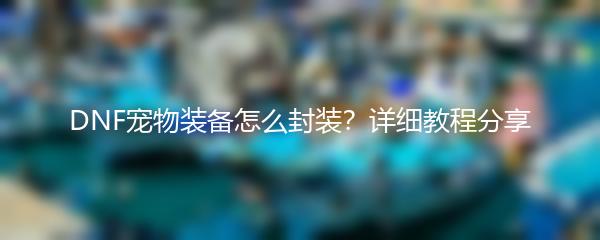 DNF宠物装备怎么封装？详细教程分享
