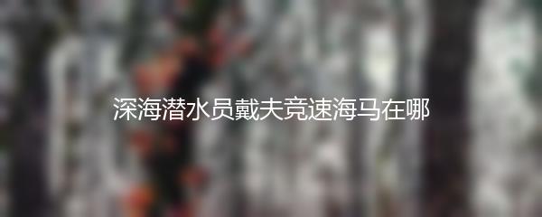 深海潜水员戴夫竞速海马在哪