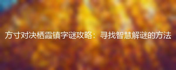 方寸对决栖霞镇字谜攻略：寻找智慧解谜的方法