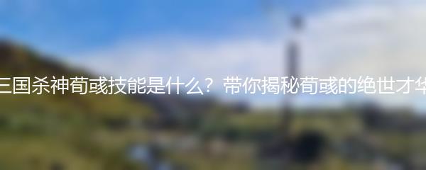 三国杀神荀彧技能是什么？带你揭秘荀彧的绝世才华