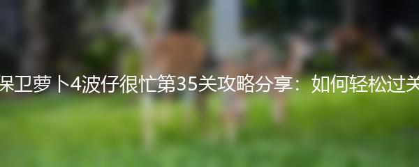 保卫萝卜4波仔很忙第35关攻略分享：如何轻松过关