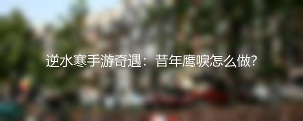 逆水寒手游奇遇：昔年鹰唳怎么做？