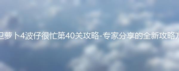 保卫萝卜4波仔很忙第40关攻略-专家分享的全新攻略方法